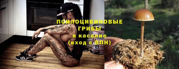 ешки Алзамай