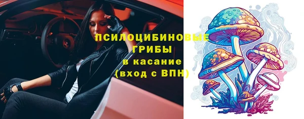 спиды Алексеевка